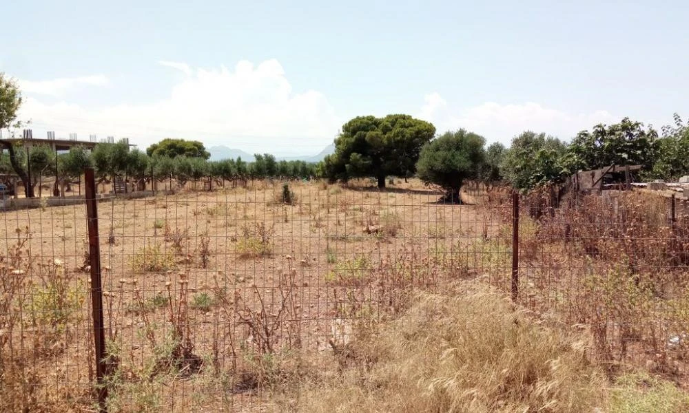 Πηγές εμπρησμού αποτελούν τα ακαθάριστα οικόπεδα – Οι σαρωτικοί έλεγχοι και τα πρόστιμα (Βίντεο)